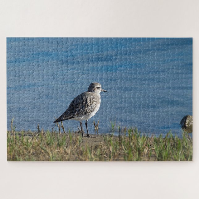 Plover (Horizontal)