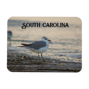 Plover am Strand Magnet