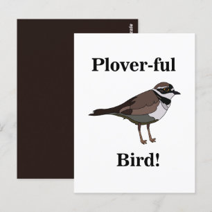 Plover Bird Funny Nature Wildlife Postkarte