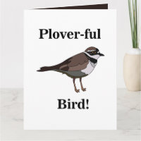 Plover Bird Funny Vogelbeobachtung Vogelbeobachter