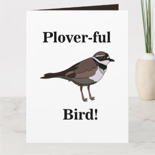 Plover Bird Funny Vogelbeobachtung Vogelbeobachter Karte