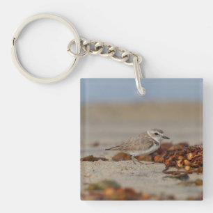 Plover und Algen Schlüsselanhänger