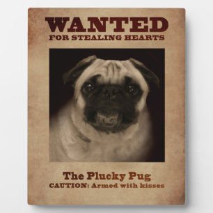 Plucky Mops Plaque Fotoplatte