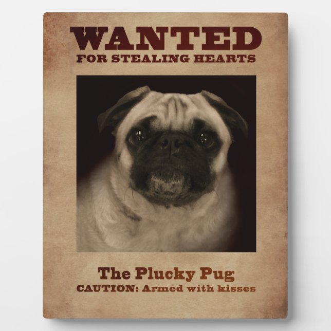 Plucky Mops Plaque Fotoplatte (Vorderseite)