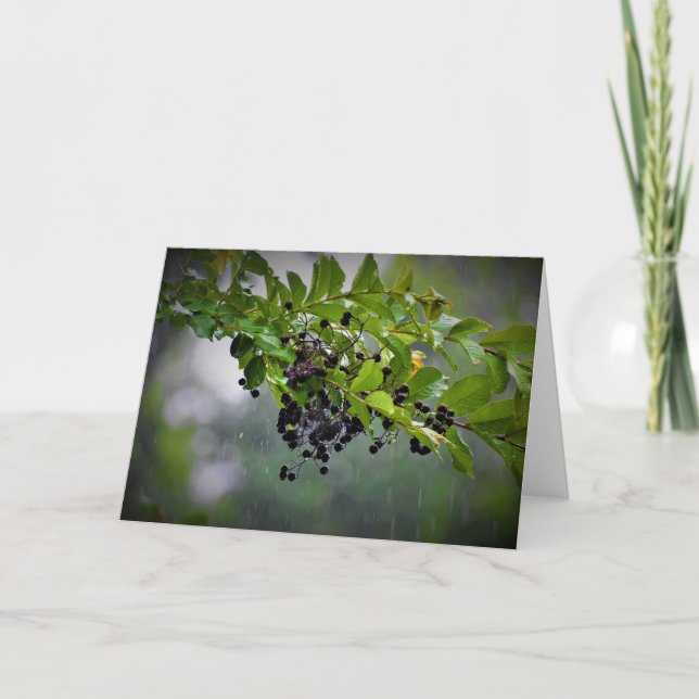 Pluie, carte (Devant)