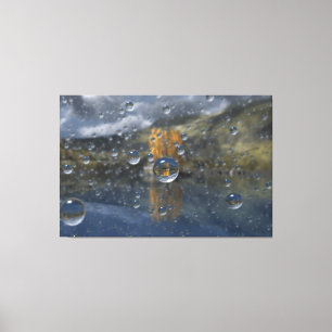 Pluie dans la toile de verre Imprimer