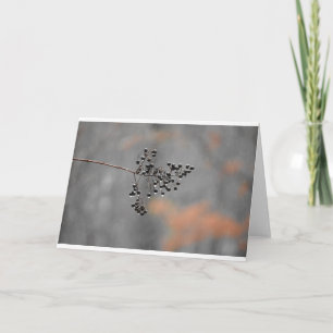 Pluie d'hiver, carte