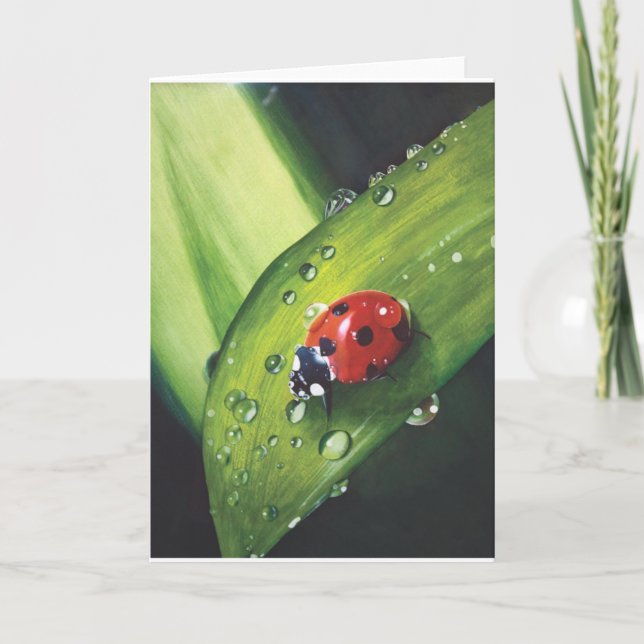 Pluie sur la carte fauchée d'herbe (Devant)