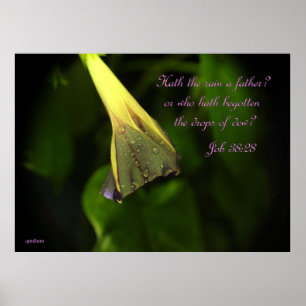 Pluie sur la gloire de matin - affiche