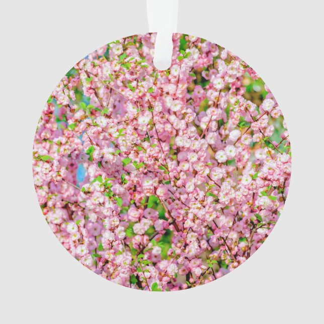 Plum à fleurs (dos)