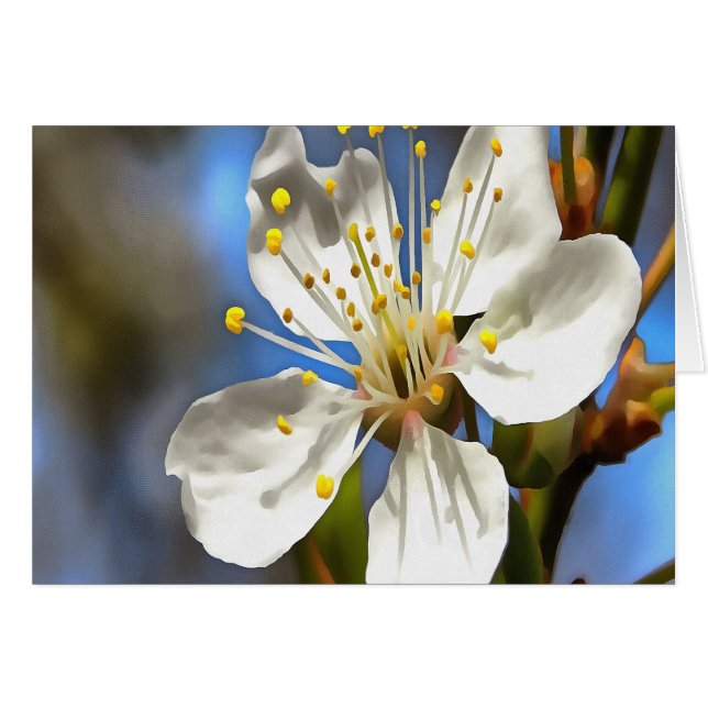 Plum Blossom Botanische Kunst (Vorderseite (Horizontal))