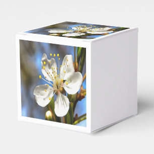 Plum Blossom Botanische Kunst Geschenkschachtel