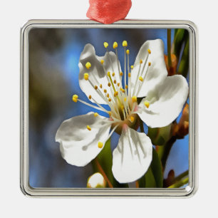 Plum Blossom Botanische Kunst Ornament Aus Metall