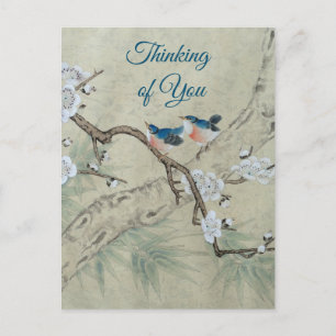 Plum Blossom im Frühling Postkarte