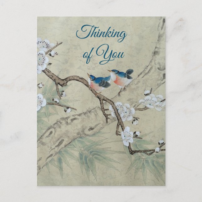 Plum Blossom im Frühling Postkarte (Vorderseite)