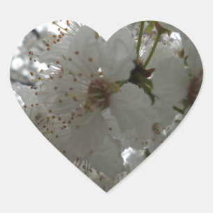 Plum-Blume-Heftaufkleber Herz-Aufkleber