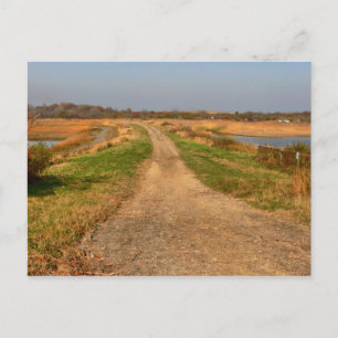 Plum Island Postcard Postkarte