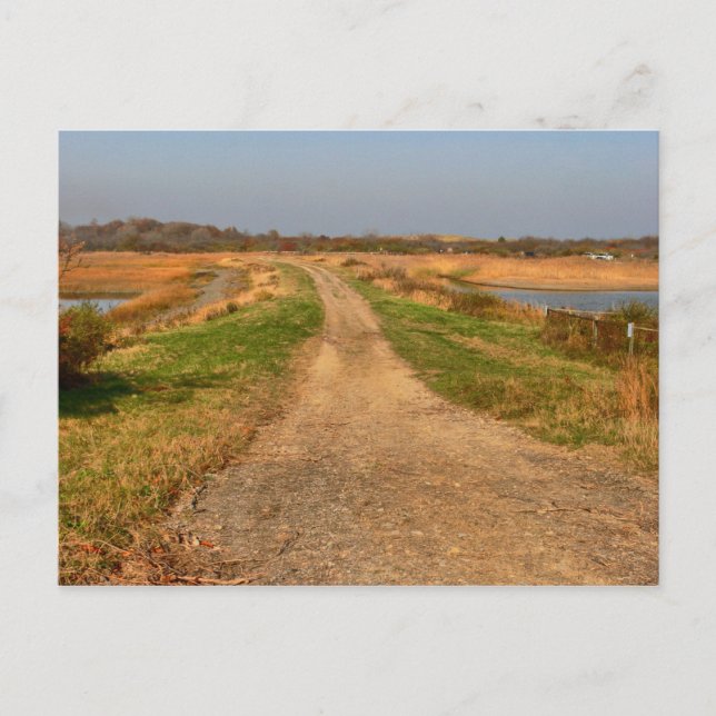 Plum Island Postcard Postkarte (Vorderseite)