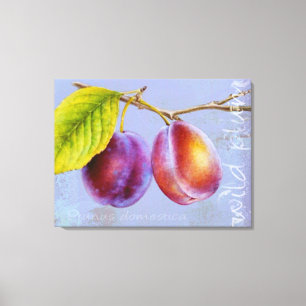 Plum sauvage - Prunus domestica toile art mauve