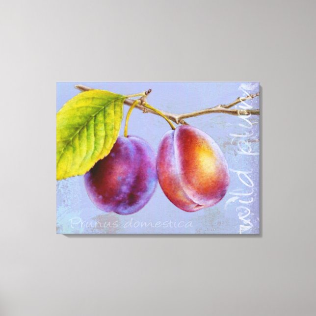 Plum sauvage - Prunus domestica toile art mauve (Recto)