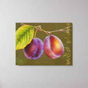 Plum sauvage - Prunus domestica toile d'art (olivi