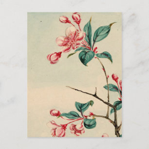 Plum tree fleurs 2012 Calendrier Carte postale