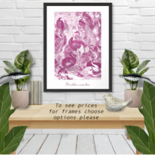 Plum Vintage StraußenIllustration Struthio camelus Poster