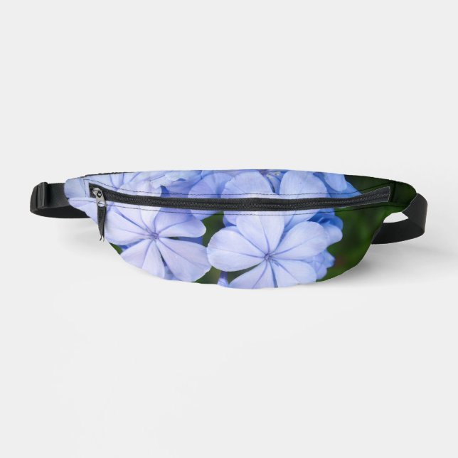 Plumbago (Recto)