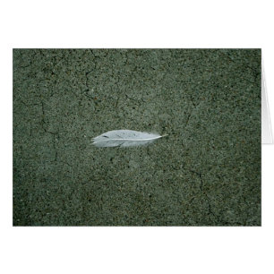 Plume