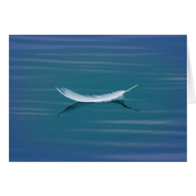 Plume blanche sur l'eau (Devant horizontal)