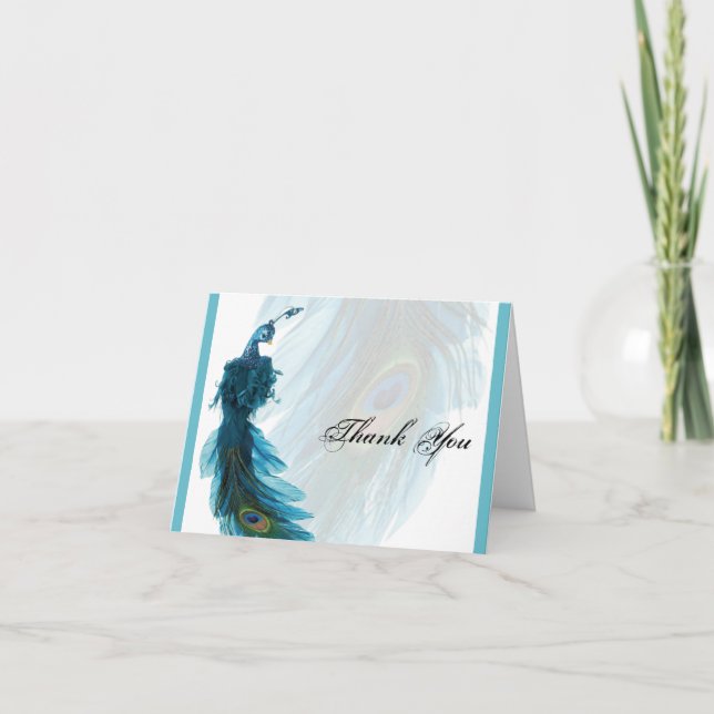 Plume de Merci bleu Peacock turquoise (Devant)