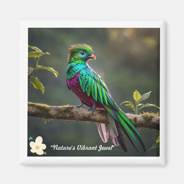 "Plumed Beauty" Magnet (Vorne)