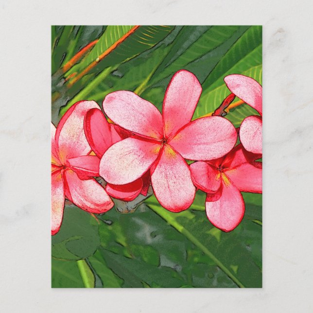 Plumeria (Vorderseite)