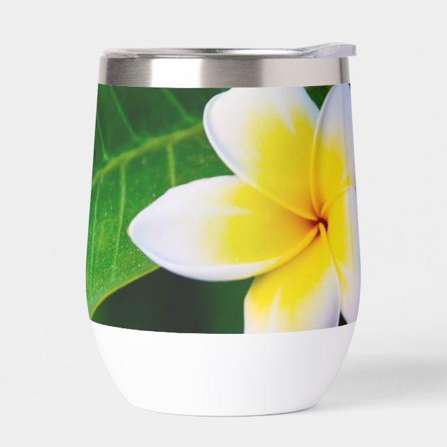 Plumeria (Links)