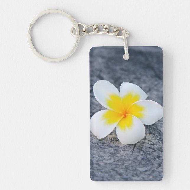 plumeria (Devant)