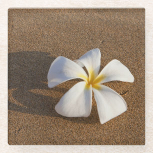 Plumeria am Sandstrand, Maui, Hawaii, USA Glasuntersetzer