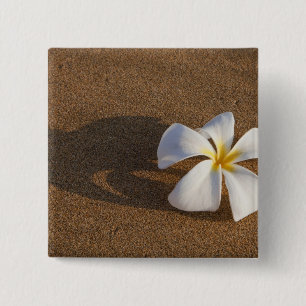 Plumeria an einem Sandstrand, Maui, Hawaii, USA Button