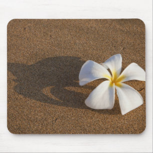 Plumeria an einem Sandstrand, Maui, Hawaii, USA Mousepad