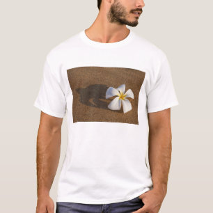 Plumeria an einem Sandstrand, Maui, Hawaii, USA T-Shirt