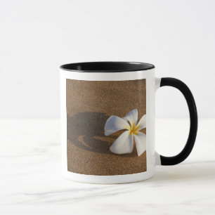 Plumeria an einem Sandstrand, Maui, Hawaii, USA Tasse