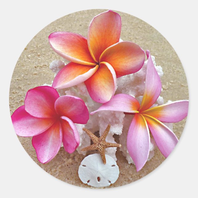 Plumeria auf Muscheln am Strand Runder Aufkleber (Vorderseite)