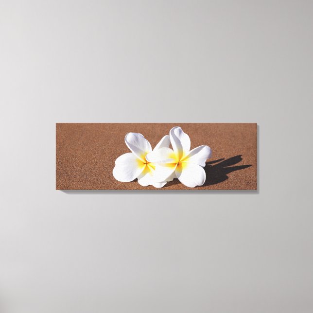 Plumeria blanche hawaïenne sur la toile de plage I (Recto)