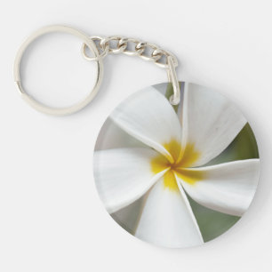 Plumeria blanche - Portrait macro