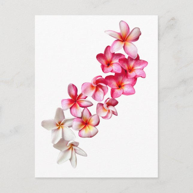 Plumeria Blooms Collage  Postkarte (Vorderseite)