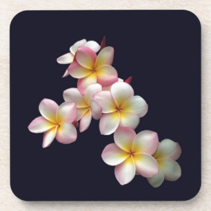 Plumeria blüht in dunkelblau untersetzer