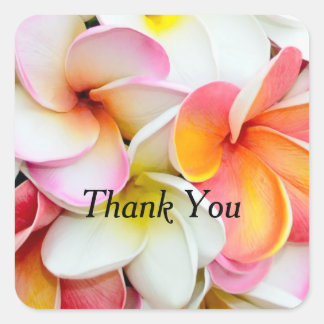 Plumeria Blume Bunte Petals Danke Quadratischer Aufkleber