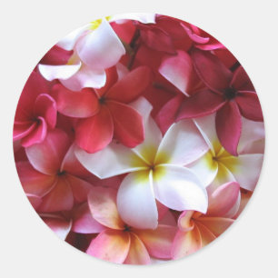 Plumeria Blume Cluster Bouquet Runder Aufkleber