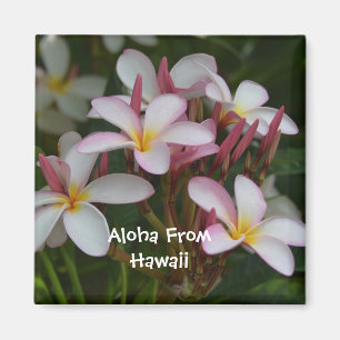 Plumeria-Blume Magnet