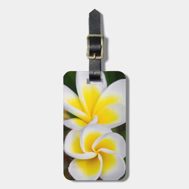 Plumeria Blume nah-up, Hawaii Gepäckanhänger (Vorderseite vertikal)
