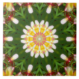 Plumeria-Blumen-Mandala mit tropischer Symmetrie Fliese